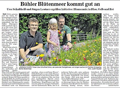 Zeitungsartikel zum Bühler Blütenmeer