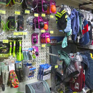 Produkte aus dem Hundebereich im Leutner - Kreativ - Garten - Zoo