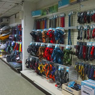 Ansicht des Hundebereichs im Leutner - Kreativ - Garten - Zoo