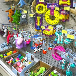 Allerlei Hundespielzeug im Leutner - Kreativ - Garten - Zoo