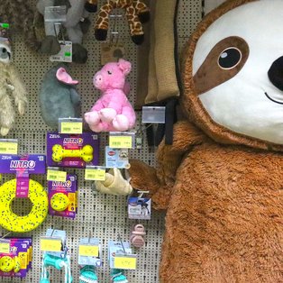 Allerlei Hundespielzeug im Leutner - Kreativ - Garten - Zoo